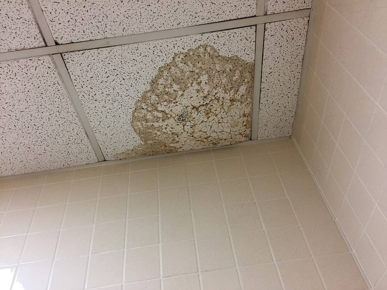 Ceiling panel stained and sagging from a pipe leak, the kind of damage local pros dry out in Gardena, CA 90247